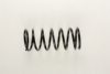 BMW 31331131030 Coil Spring